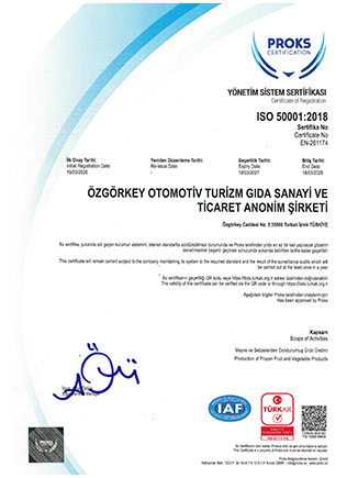 ISO 50001 ENERGY MANAGEMENT SYSTEM CERTIFICATION